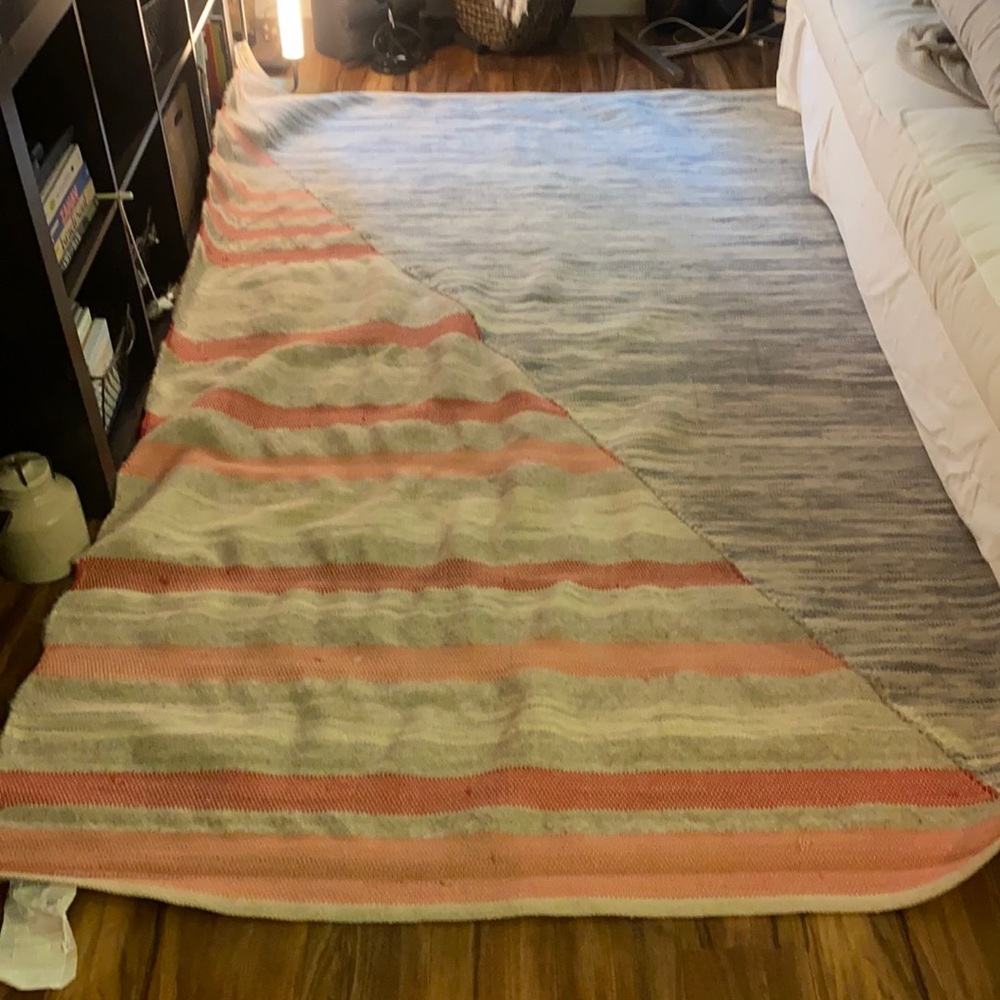 West Elm 5x8 Rug